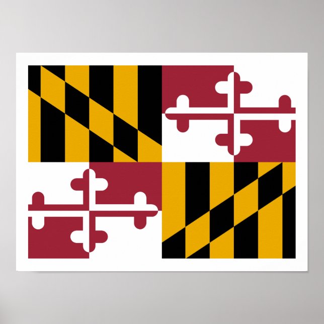 Poster Maryland Flag (Frente)