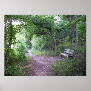 Poster Máscara da tarde na floresta