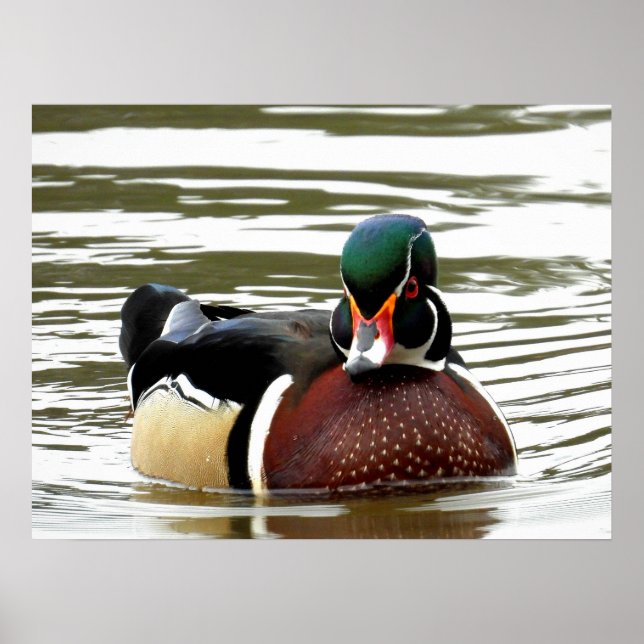 POSTER MASSA MASCULINA DUCK (Frente)