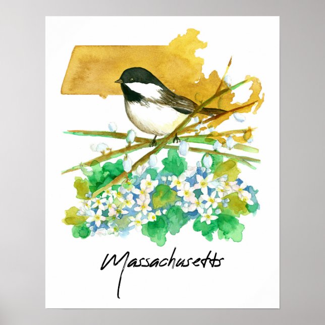 Poster Massachusetts Bird Chickadee Willow Branches (Frente)