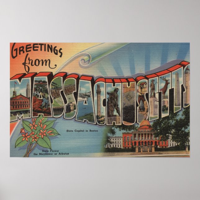 Poster Massachusetts (Capital/Flor do Estado) (Frente)