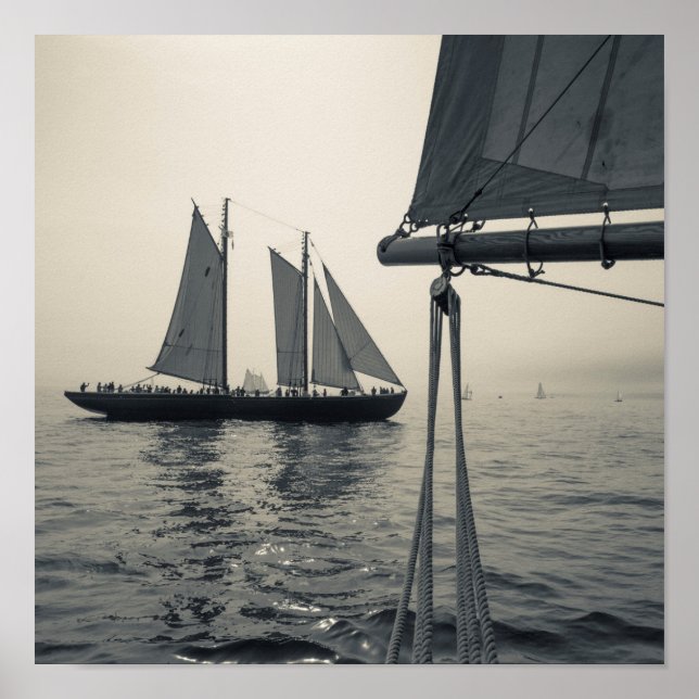 Poster Massachusetts, Gloucester, Festival da Escuna 2 (Frente)