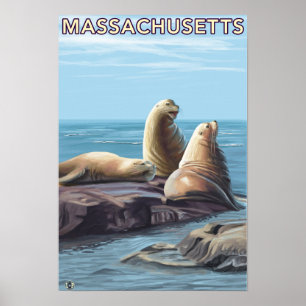 Pôster MassachusettsSea Lions Scene