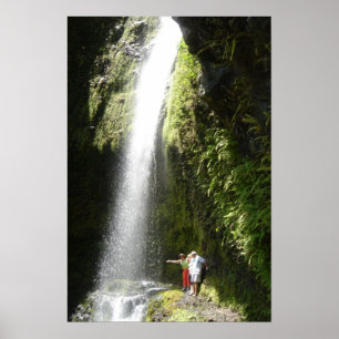 Pôster Massacrando seus dragões