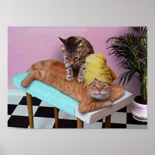 Poster Massagem engraçada do gato