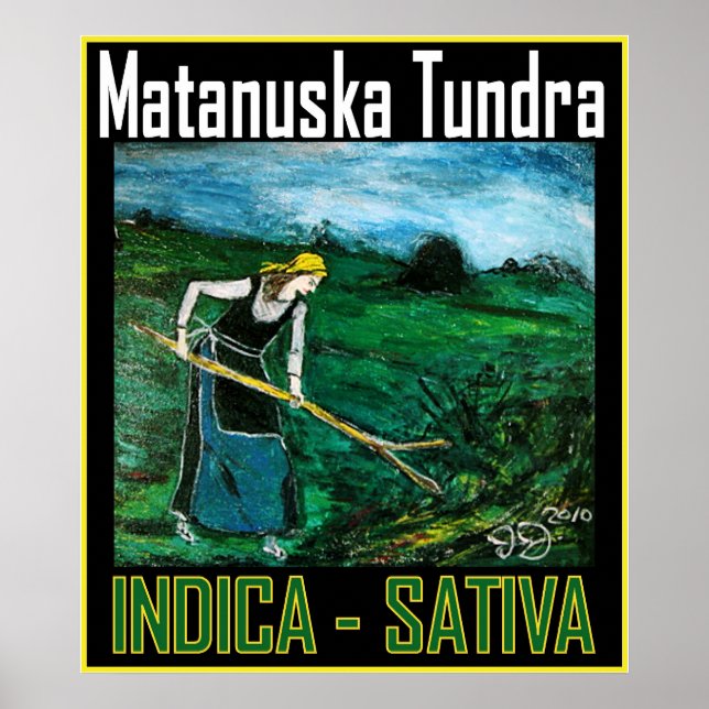 POSTER MATANUSKA TUNDRA INDICA SATIVA (Frente)