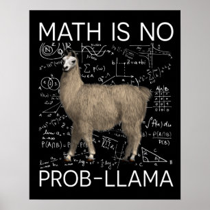 Poster Matemática não é Prob-Llama - Professor de Matemát