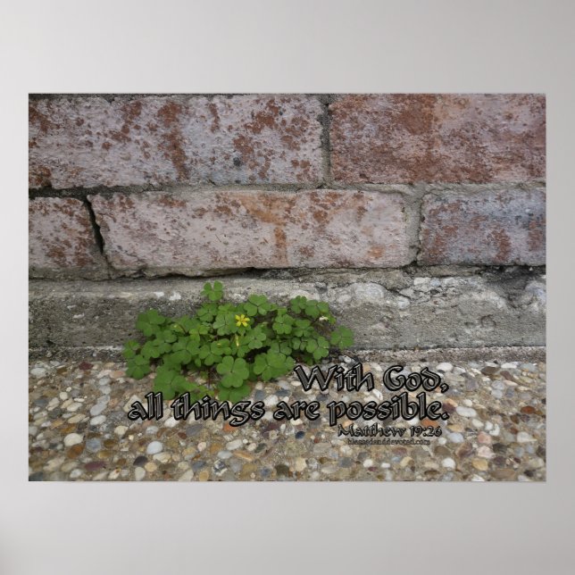 Pôster Mateus 19:26 (Frente)