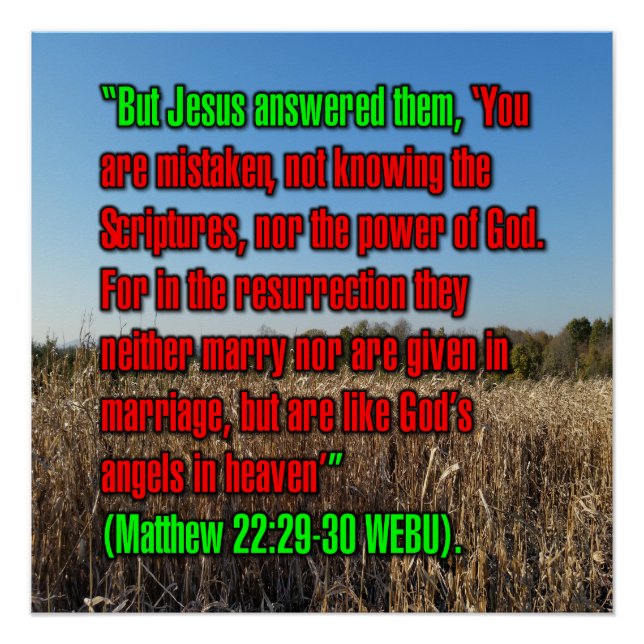 Pôster Mateus 22:29-30 WEBU (Frente)