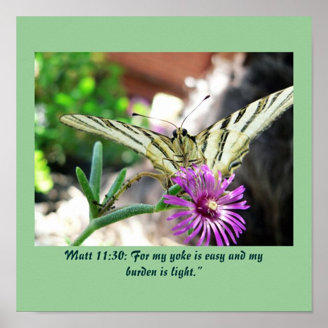 Poster Matt 11:30 (Frente)