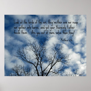 Pôster Matthew 6:26 Olhe os pássaros do ar...