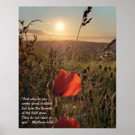 Poster Matthew 6:28 Poppies no pôr do sol