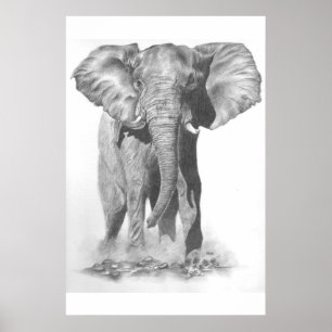 Pôster Mau grande e perigoso saber