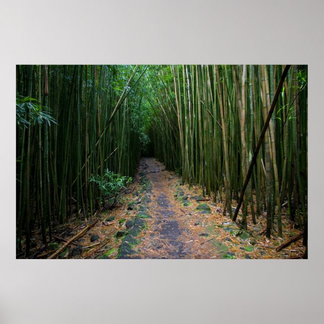 Poster Maui (Frente)