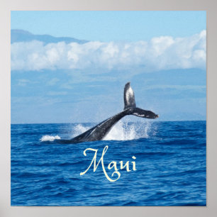 Poster Maui Hawaii Ocean Whale Tail