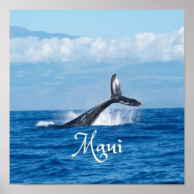 Poster Maui Hawaii Ocean Whale Tail (Frente)