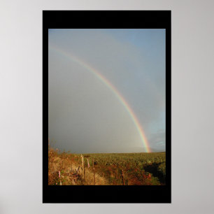 Poster maui rainbow