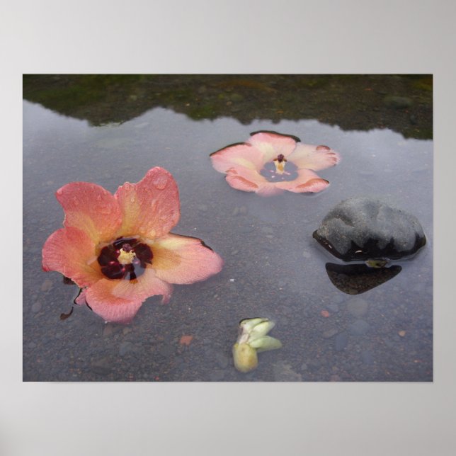 Pôster Maui Zen (Frente)