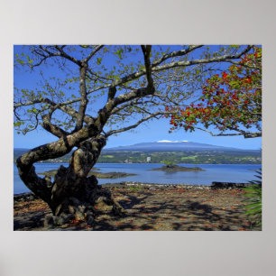 PÔSTER MAUNA KEA OVER HILO BAY