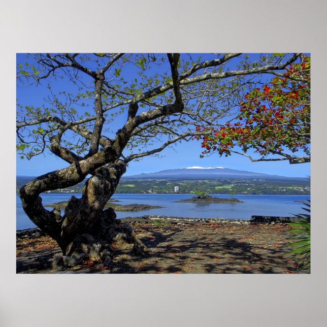 PÔSTER MAUNA KEA OVER HILO BAY (Frente)