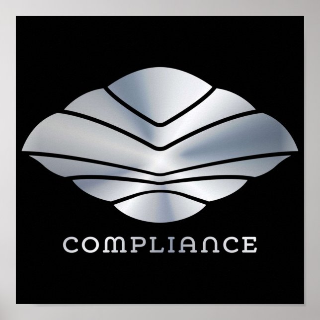 Poster MÁX de Conformidade do Voo do Navegador (Frente)