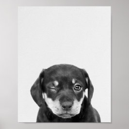 Poster Max, o cachorrinho que pisca