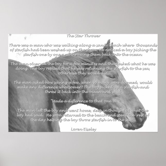 Poster Maxx Starfish (Frente)