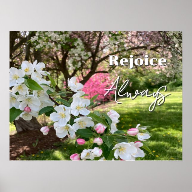 Poster May Flowers Pink Rejoice Always (Frente)