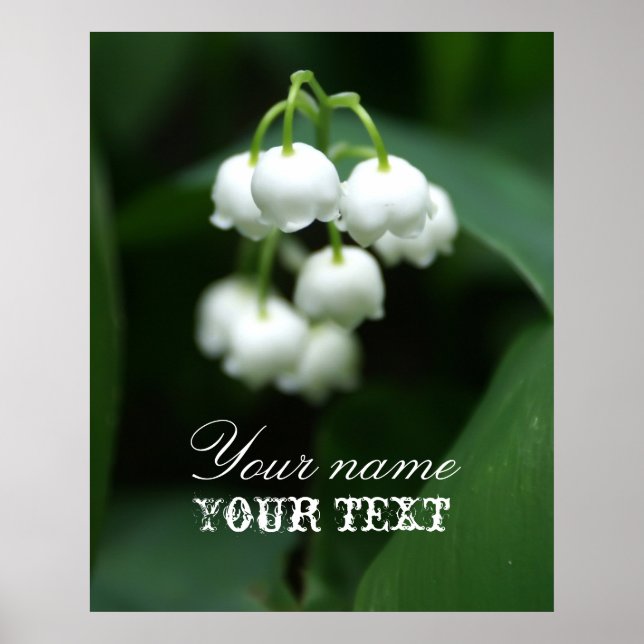 Poster May white lilies (Frente)