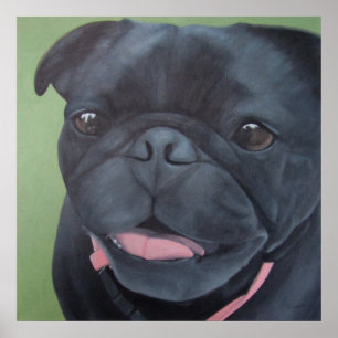 Poster Maya Black Pug Dog