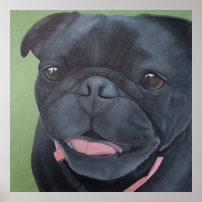 Poster Maya Black Pug Dog (Frente)