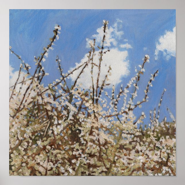 Poster Mayflower 2012 (Frente)