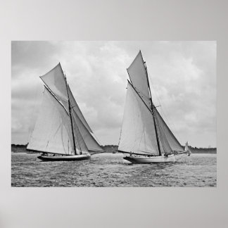 Pôster Mayflower and Galatea Start America's Cup 1886