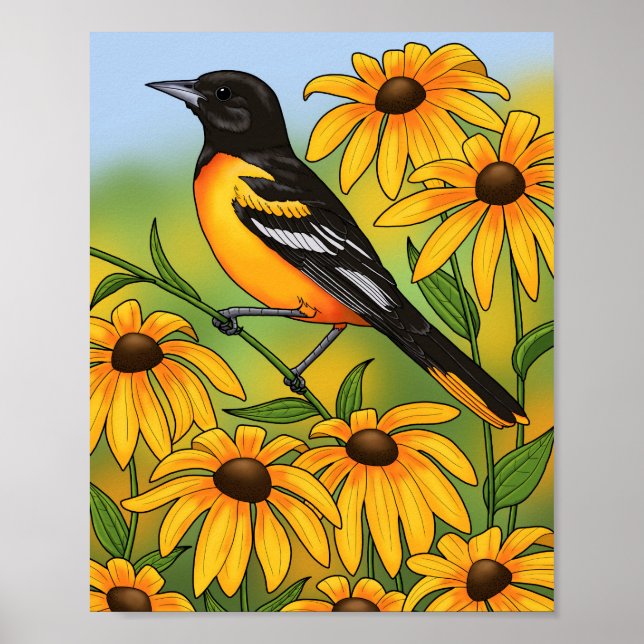 Poster MD State Bird Oriole e Susan Flower de olhos negro (Frente)