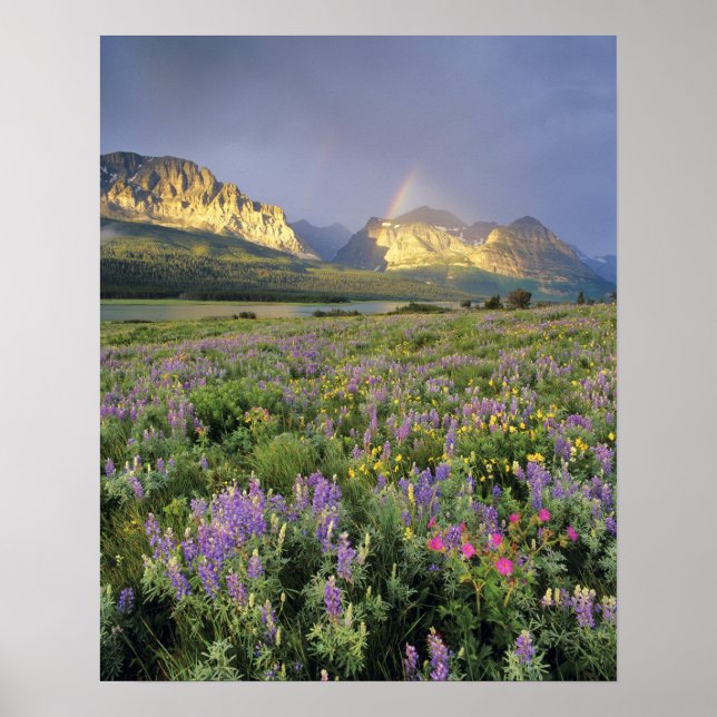 Pôster Meadow of Wildflowersnear Lake Sherbourne in (Frente)