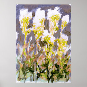 Pôster Meadowsweet