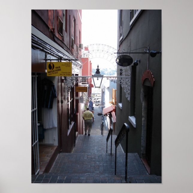 Pôster meag 036 (Frente)