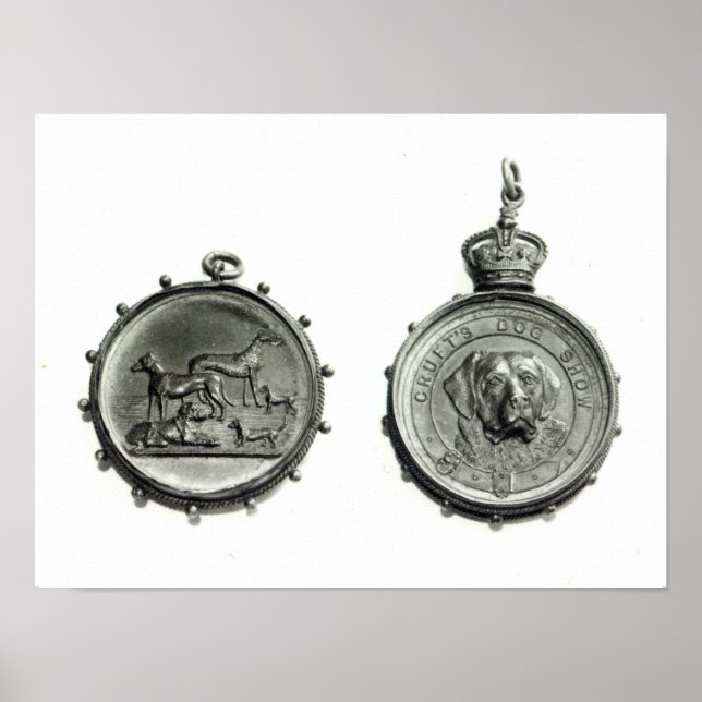 Poster Medalhas do Cruft's Dog Show, c.1910 (Frente)