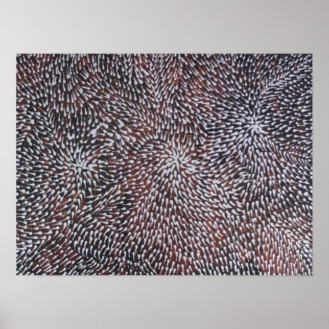 PÔSTER MEDICAMENTO DO RECIPIENTE CORAL (Frente)