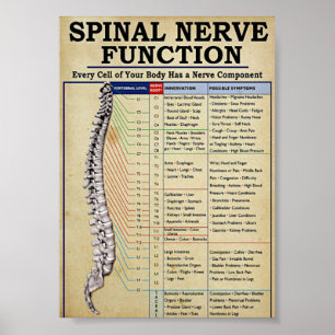 Poster Medicamento Vintage ilustrado