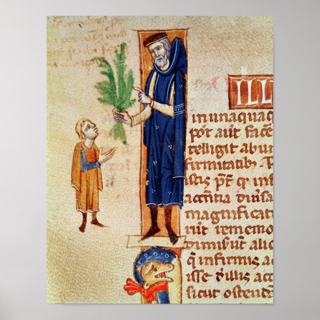 Poster Medicamentos (Frente)