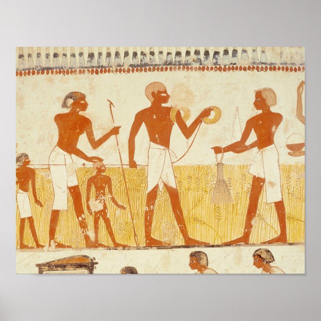 Poster Medição do terreno com corda (Frente)