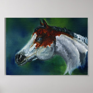 Pôster Medicine Hat Pinto Horse