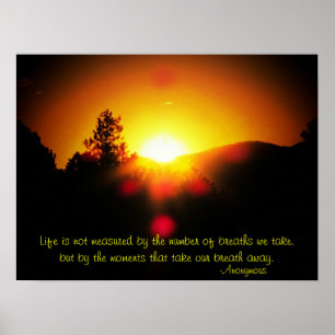 Pôster Medido Por Momentos