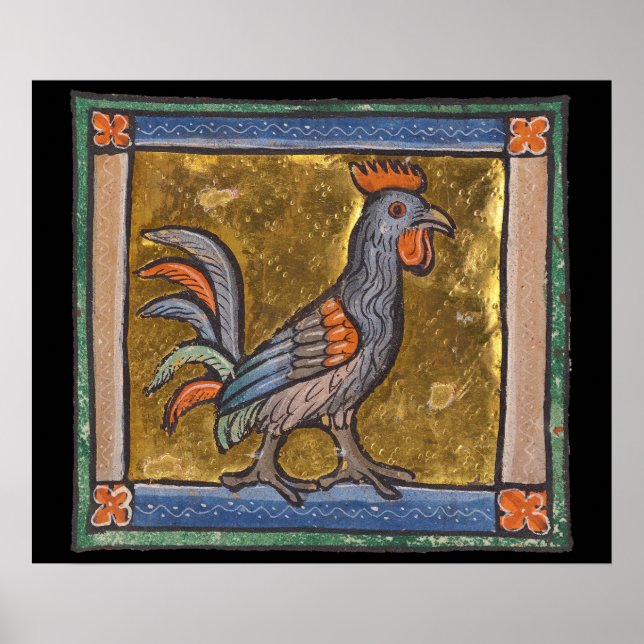 Poster Medieval Bestiary Rooster c. 1270 (Frente)