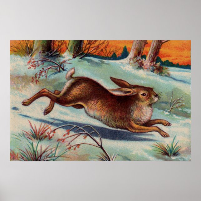Poster Médio do Coelho de dezembro (Frente)