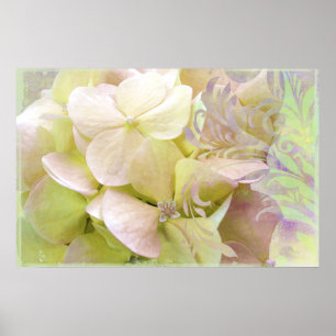 Pôster Meditação, Hydrangea Opalescent