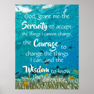 Poster Meditação Serenity Prayer Ocean Fish