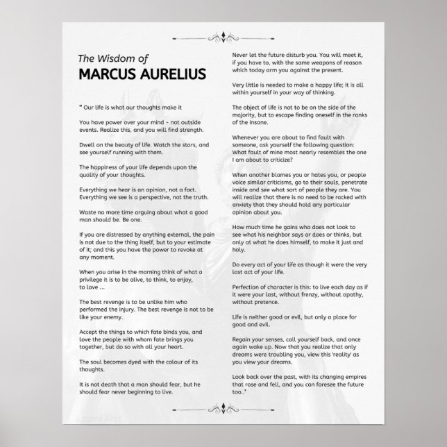 Poster Meditações Estáticas Marcus Aurelius. A sabedoria (Frente)