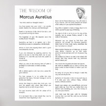 Meditações Estáticas Marcus Aurelius. A sabedoria